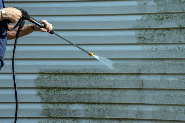 Best Graffiti Removal  in Giddings, TX